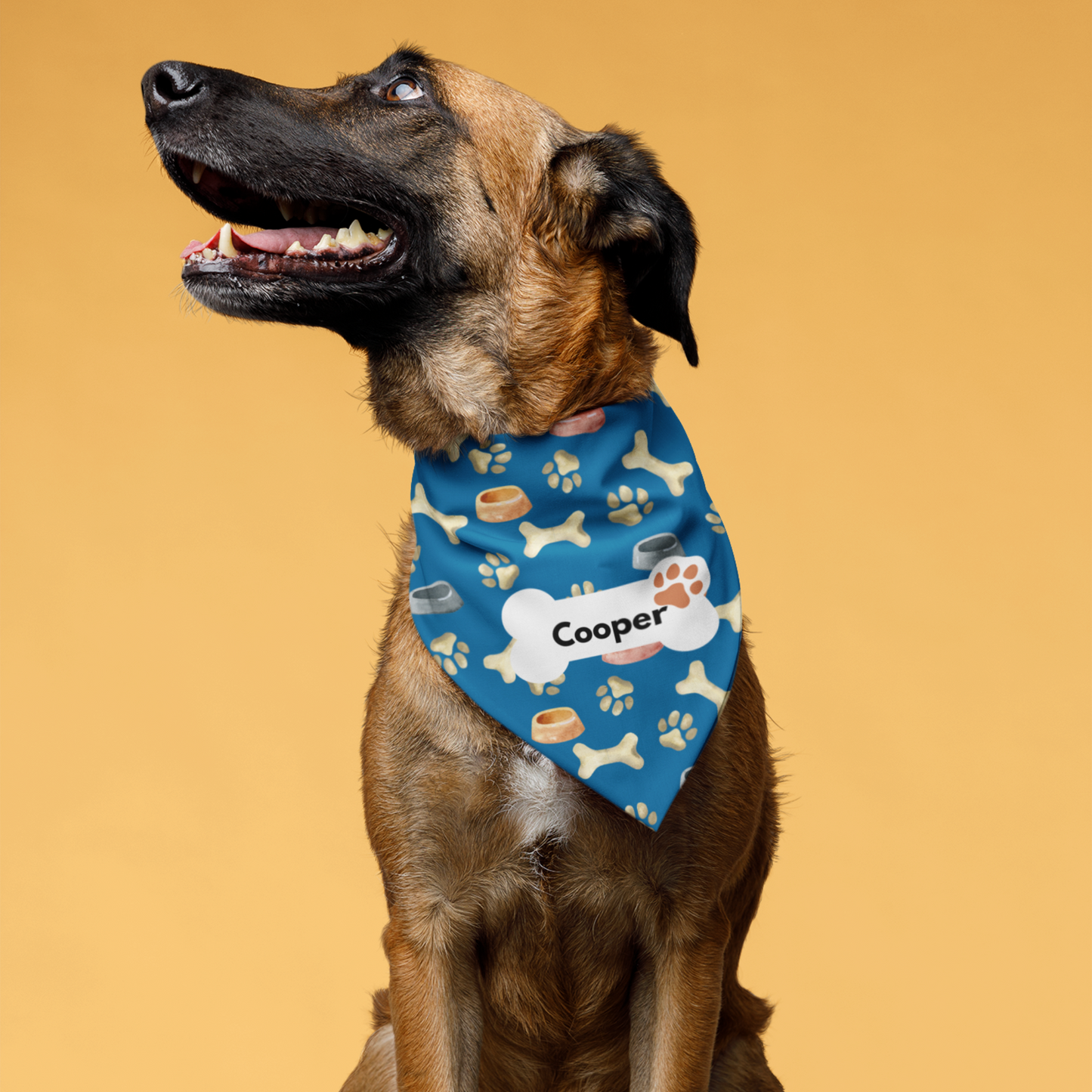 Personalized Pet Bandana Collar – Stylish and Customizable for Your Pet.