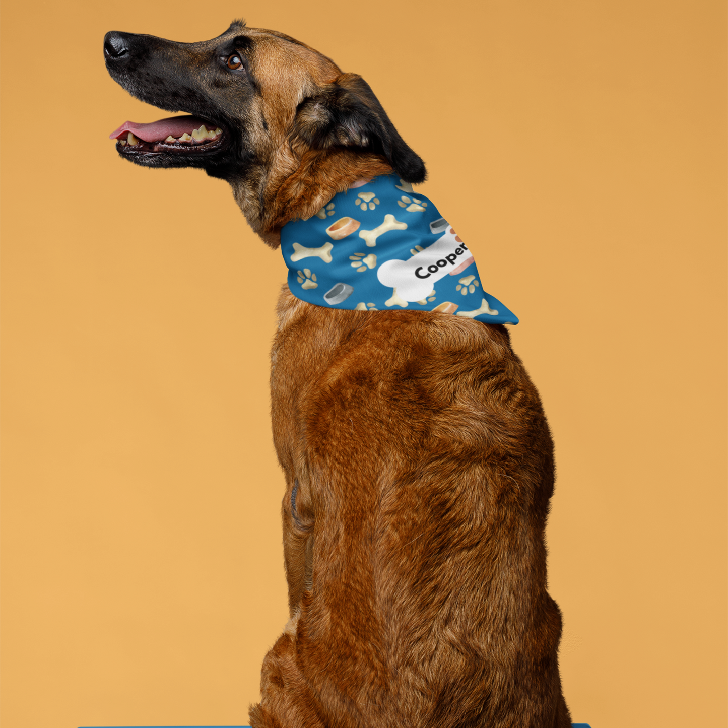 Personalized Pet Bandana Collar – Stylish and Customizable for Your Pet.